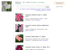 Tablet Screenshot of pestik.net